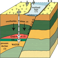 formation of  petroleum